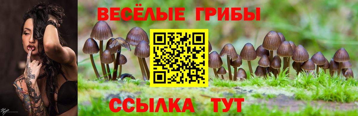 Галлюциногенные грибы ЛСД  Вход с VPN  Моздок  Галлюциногенные грибы мицелий 