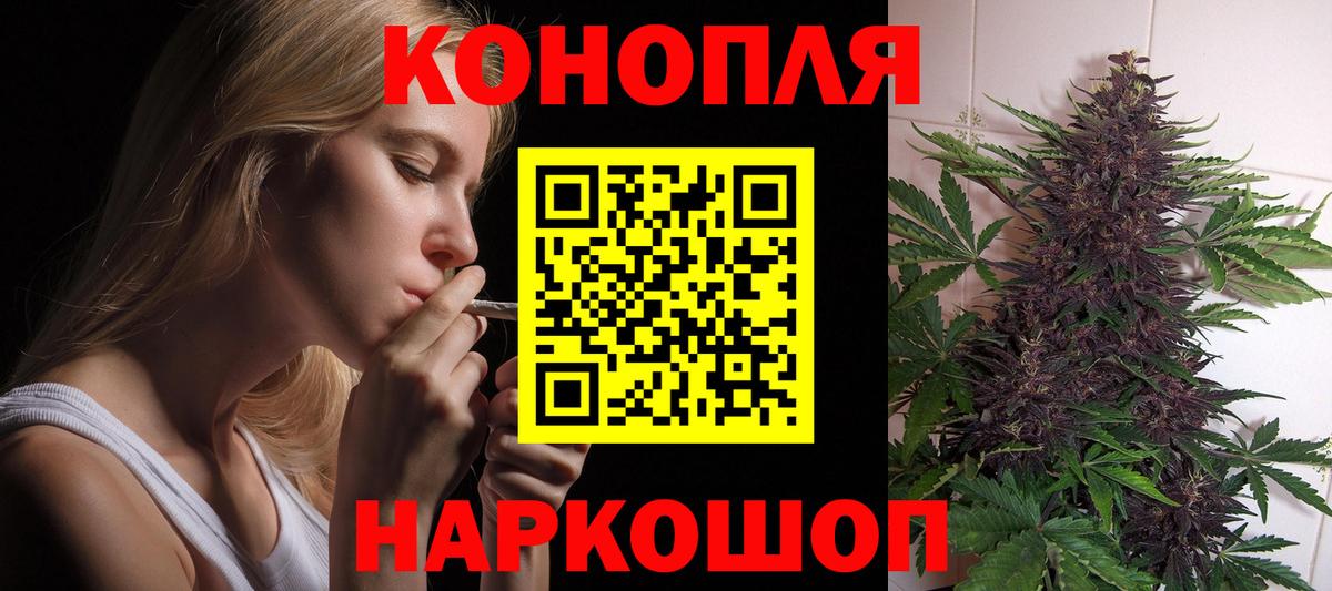 Бошки Шишки MAZAR Моздок